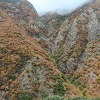 طور‌طبیعت‌گردی