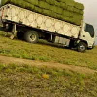 فروش کاه و یونجه