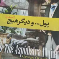 مجموعه کتاب های برندِ جورج اورول/ زیرِ زیرِ قیمت