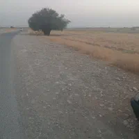 فروش زمین کشاورزی به متراژ ۸هزار متر برجاده قیمت|فروش دفتر صنعتی، کشاورزی، تجاری|رامهرمز, |دیوار
