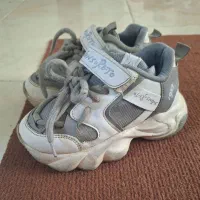 کفش|کیف، کفش، کمربند|اشتهارد, |دیوار