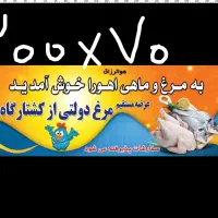 یخچال مرغ فروشی|فروشگاه و مغازه|خمینیشهر, |دیوار