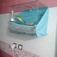 قفس طوطی یا قناری|لوازم جانبی حیوانات|برازجان, |دیوار