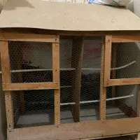 جای قناری و مرغ عشق