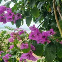 نیازمند راهنمایی