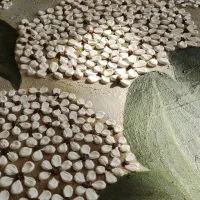 تابلو تکسچر