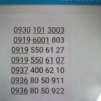 شماره رند سازمانی