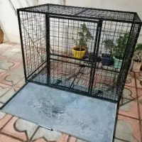 قفس سگ و گنجه کفتر و مرغ و خروس کبوتر|لوازم جانبی حیوانات|شیراز, تحویلی|دیوار