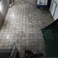 اجاره خانه|اجارهٔ آپارتمان|تاکستان, |دیوار