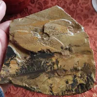 سنگهای زیبای شجر ومنظره