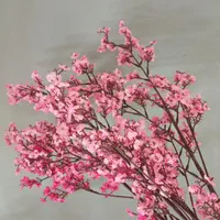 شکوفه های مختلف|گل مصنوعی|مشهد, کوثر|دیوار