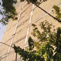 شاتکریت سیمانکاری بادستگاملات پاش بتن پاش شات کریت|خدمات پیشه و مهارت|تهران, دکتر هوشیار|دیوار