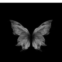 کارتون جای یخچال و تلویزیون سالم