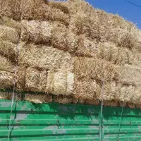 فروش یونجه خشک پرس