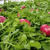 خورد کردن سبزی و پاک کردن سبزی