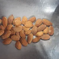 جداساز پوس ازمغز بادام گردو زردادستگااتوماتیک