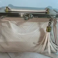 کیف شیک مجلسی