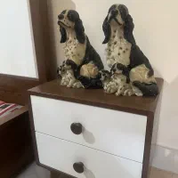 مجسمه سگ خالدار|مجسمه، تندیس، ماکت|شیراز, درکی|دیوار