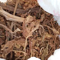 زرد|خوردنی و آشامیدنی|بوشهر, |دیوار