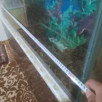 آکواریوم همراه لوازم کامل|ماهی|ملایر, |دیوار