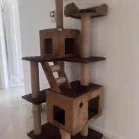 اسکچر پت خونه گربه