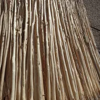 نردبان دسته بیل میخ چوبی|ابزارآلات|مشهد, توس (بلوار توس)|دیوار