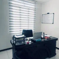 منشی ساده خانم