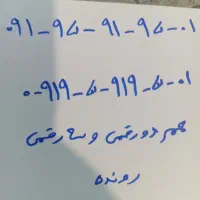 سیم کارت 0919-591-9501
