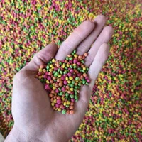 بار جدید 100 عدد قناری بالغ و مولد آماده ب جفت|پرنده|بیرجند, |دیوار
