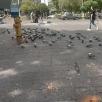 خدمات نظافت و تمیز کاری نظافت ساختمان و منازل