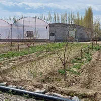 فروش گلخانه هیدروپونیک*فروش بعلت تغییر مکان*|فروش دفتر صنعتی، کشاورزی، تجاری|سلماس, |دیوار