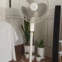 پنکه