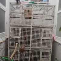 قفس آهنی 6طبقه