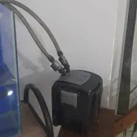 اکواریوم