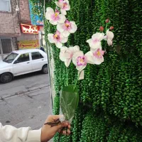 ارکیده مصنوعی|گل مصنوعی|قم, نیروگاه|دیوار