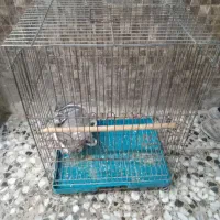 قفس بزرگ|لوازم جانبی حیوانات|شیراز, نارنجستان|دیوار