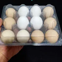 صفحه تخم مرغ