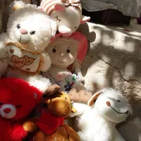 عروسک|اسباببازی بچه|قروه, |دیوار