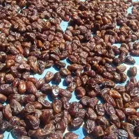 خرما|خوردنی و آشامیدنی|بوشهر, |دیوار