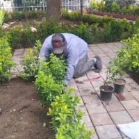 باغبانی وهرسکاری کوددهی بیل زنی مهر فاکتور ضمانت