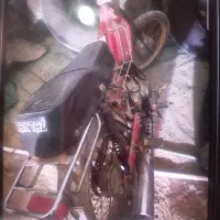 فروش قاز و موتور|حیوانات مزرعه|بندر ماهشهر, |دیوار