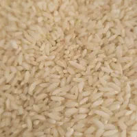 برنج محلی خرم آباد