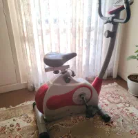 دوچرخه ثابت