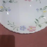 ظروف پذبرایی