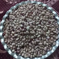 لوبیا چیتی|خوردنی و آشامیدنی|سراب, |دیوار