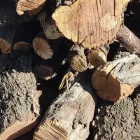 چوب شومینه ای خیلی خشک استثنایی انواع کنده وچوب|عمدهفروشی|تفت, |دیوار