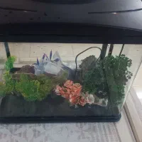 آکواریوم ماهیران با تجهیزات کامل