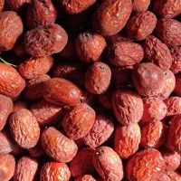 عناب تازه درجه یک|خوردنی و آشامیدنی|فولادشهر, B2|دیوار