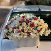 گل جاودان و ابدی|گل مصنوعی|شیراز, نصر|دیوار