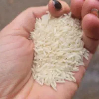 برنج هاشمی درجه یک به شرط پخت